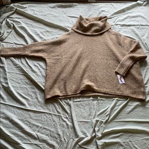 Brown Turtle Neck Sweater